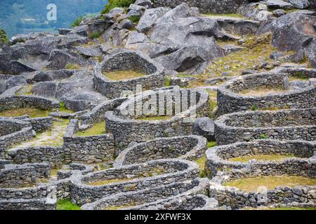 Anciennes ruines circulaires d'origine celtique en Galice. La Guardia - Espagne Banque D'Images
