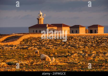 Phare de Punta Nati, Ciutadella, Minorque, Iles Baléares, Espagne. Banque D'Images