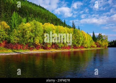 Paysage de la partie supérieure de la Lena, Baikalo-Lensky Réserver, Sibérie, Russie, septembre 2017 Banque D'Images