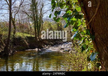 La rivière Oria, Segura, Gipuzkoa, Pays Basque, Espagne Banque D'Images