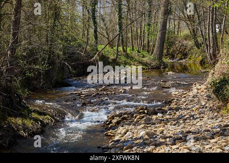 La rivière Oria, Segura, Gipuzkoa, Pays Basque, Espagne Banque D'Images