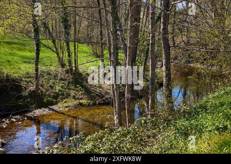 La rivière Oria, Segura, Gipuzkoa, Pays Basque, Espagne Banque D'Images