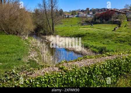 La rivière Oria, Segura, Gipuzkoa, Pays Basque, Espagne Banque D'Images