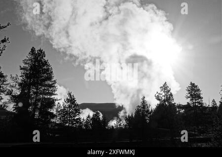 Vapeur rétro-éclairée de Sulphur Caldron tôt le matin Banque D'Images