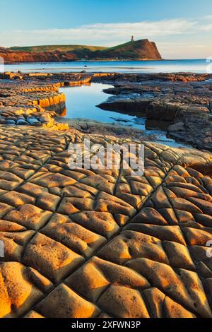 Formations rocheuses à Kimmeridge Bay avec Clavell Tower en arrière-plan, île de Purbeck, Côte jurassique, Dorset, Angleterre, ROYAUME-UNI. Décembre 2010. Banque D'Images