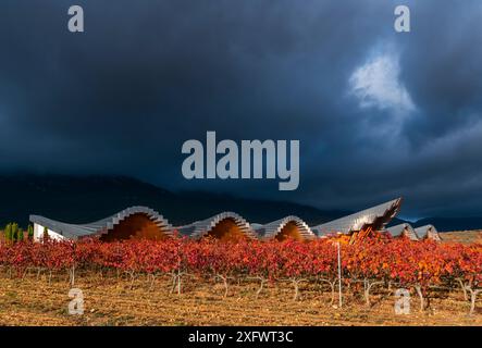 Vignoble en automne, Ysios Winery avec bâtiment conçu par Santiago Calatrava, la Rioja, Sierra de Cantabria, Alava, pays Basque, Espagne. Novembre 2017. Banque D'Images