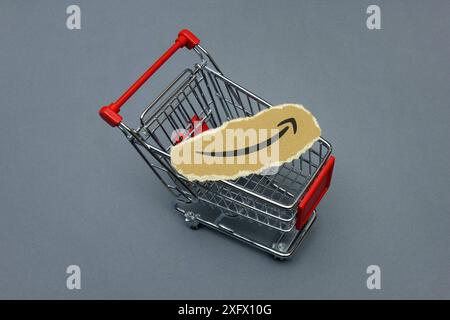 Einkaufswagen mit Symbol von Amazon Einkaufswagen mit Symbol von Amazon, 03.07.2024, Borkwalde, Brandenburg, Auf einem Einkaufwagen befindet sich das Symbol von Amazon. *** Panier avec symbole d'Amazon panier avec symbole d'Amazon, 03 07 2024, Borkwalde, Brandebourg, sur un chariot est le symbole d'Amazon Banque D'Images
