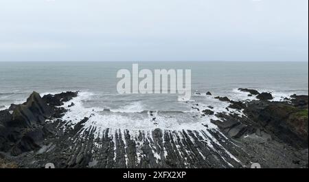 Un pli synclinal érodé a exposé des grès et des schistes de l'âge Carbonifère. Hartland Quay, Devon, Royaume-Uni, mai Banque D'Images