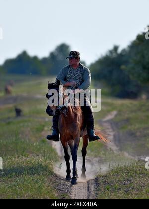 Homme à cheval le long d'une piste poussiéreuse. Letea, Delta du Danube, Roumanie. Mai 2018. Banque D'Images