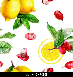 Un design avec des citrons, des feuilles et des baies de fruits miracles sur un fond blanc, formant un motif vivant Banque D'Images