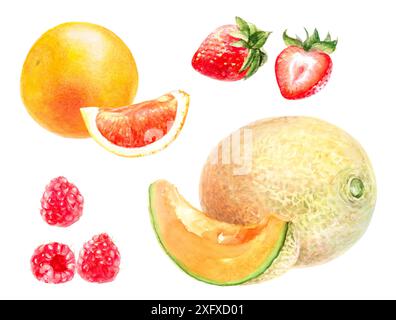 Illustrations aquarelles de divers fruits : orange, fraise, framboise, melon. Banque D'Images