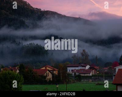 Brouillard matinal, Ucieda, parc naturel de Saja-Besaya, Cantabrie, Espagne Banque D'Images