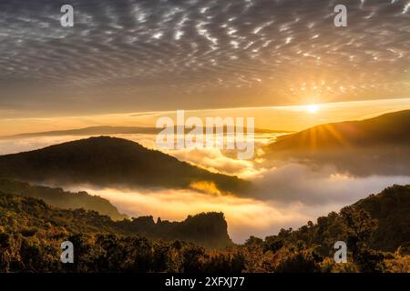 Lever de soleil dans les montagnes des Rhodopes orientales, Bulgarie. Novembre 2015 Banque D'Images