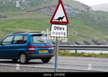 Panneau d'avertissement routier pour loutre eurasienne / loutre européenne (Lutra lutra) pour les loutres traversant une rue en Écosse côtière, Shetland, Royaume-Uni Banque D'Images