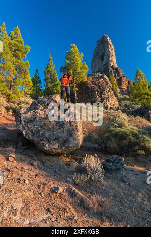 Le Berger canarien&#39;s Leap, une tradition locale de marche et de saut à travers le paysage à l'aide d'un poteau. Roque Nublo montagne sacrée, ravin Tirajana, île de Gran Canaria, les îles Canaries. Août 2018. Banque D'Images