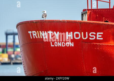 Mouette assise sur un phare de Trinity House, bateau-phare, amarré à Felixstowe, rivière Orwell, Suffolk, Angleterre, Royaume-Uni Banque D'Images