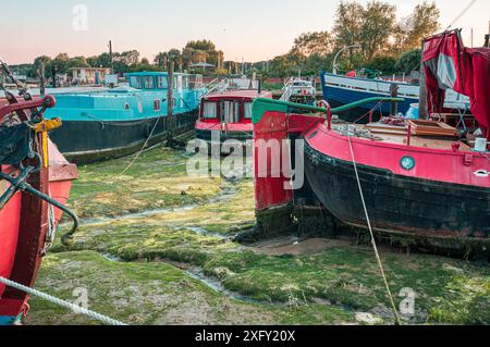 Boue verte, marée basse avec péniches amarrées à Woodbridge, Tide Mill Harbour, River Debden, Woodbridge, Suffolk, Angleterre Royaume-Uni Banque D'Images