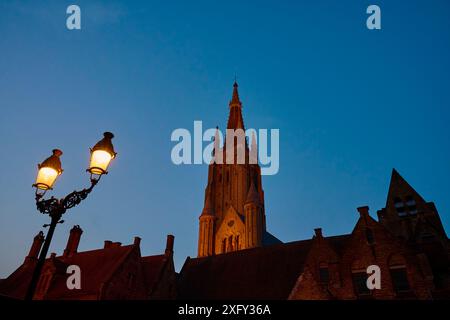 Église, Cathédrale, Saint Sauveur de Bruges, crépuscule, lampadaire, Bruges, région flamande, Belgique Banque D'Images