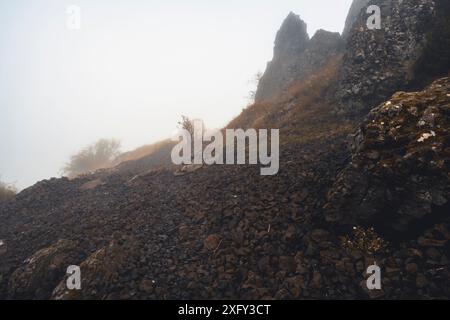 Monument naturel Helfensteine dans la réserve naturelle Dörnberg au lever du soleil avec brouillard matinal, quartier de Kassel, Hesse, Allemagne Banque D'Images