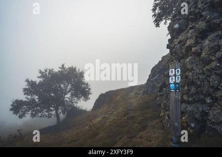 Sentier de randonnée Habichtswaldsteig au monument naturel Helfensteine dans la réserve naturelle Dörnberg au lever du soleil dans le brouillard matinal. Kassel district, Hesse, Allemagne Banque D'Images