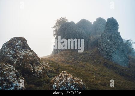 Monument naturel Helfensteine dans la réserve naturelle Dörnberg au lever du soleil avec brouillard matinal, quartier de Kassel, Hesse, Allemagne Banque D'Images