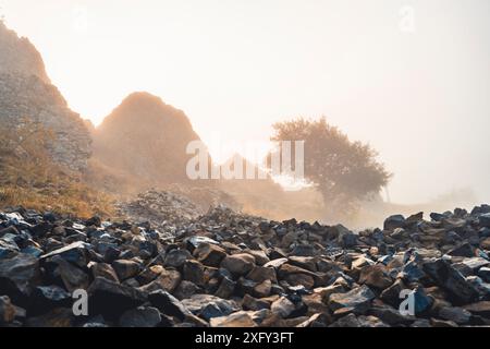 Monument naturel Helfensteine dans la réserve naturelle Dörnberg au lever du soleil avec brouillard matinal, dans les pierres de premier plan. Kassel district, Hesse, Allemagne Banque D'Images