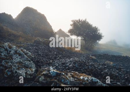 Monument naturel Helfensteine dans la réserve naturelle Dörnberg au lever du soleil avec brouillard matinal, dans les pierres de premier plan. Kassel district, Hesse, Allemagne Banque D'Images