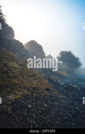 Monument naturel Helfensteine dans la réserve naturelle Dörnberg au lever du soleil avec brouillard matinal, dans les pierres de premier plan. Kassel district, Hesse, Allemagne Banque D'Images