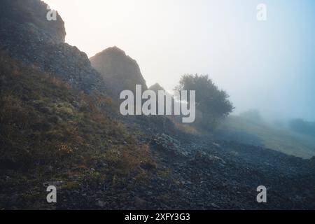 Monument naturel Helfensteine dans la réserve naturelle Dörnberg au lever du soleil avec brouillard matinal, dans les pierres de premier plan. Kassel district, Hesse, Allemagne Banque D'Images