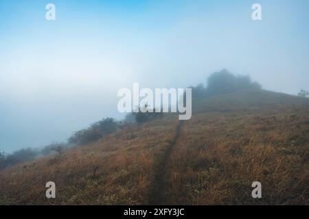 Sentier de randonnée Habichtswaldsteig au monument naturel Helfensteine dans la réserve naturelle Dörnberg au lever du soleil dans le brouillard matinal. Kassel district, Hesse, Allemagne Banque D'Images