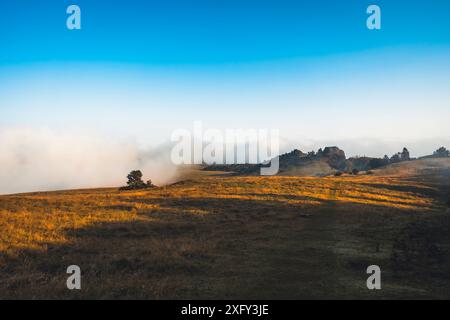 Sentier de randonnée Habichtswaldsteig au monument naturel Helfensteine dans la réserve naturelle Dörnberg au lever du soleil dans le brouillard matinal. Kassel district, Hesse, Allemagne Banque D'Images