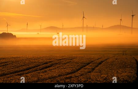 Éoliennes du parc éolien de Bründersen-Istha dans le brouillard matinal, champs au premier plan. Waldeck-Frankenberg district, Hesse, Allemagne. Banque D'Images