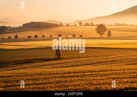 Vue sur les champs près de Bründersen-Istha dans la brume du matin, un siège haut au centre. District de Waldeck-Frankenberg, Hesse, Allemagne. Banque D'Images