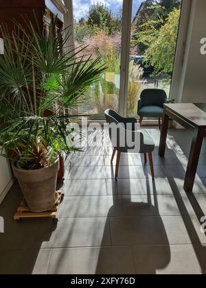 Vue d'un palmier à gauche et deux chaises à la table en bois à droite Banque D'Images