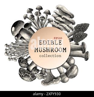 Illustration de gravure antique de champignon comestible pour fond dessiner à la main noir et blanc clip art Illustration de Vecteur