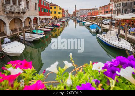 Le canal Vena avec des bateaux amarrés, Chioggia, municipalité de la ville métropolitaine de Venise, Vénétie, Italie Banque D'Images