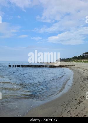 Ciel bleu avec des nuages au-dessus des groynes en bois sur la plage de Markgrafenheide sur la mer Baltique, Mecklembourg-Poméranie occidentale, Allemagne Banque D'Images