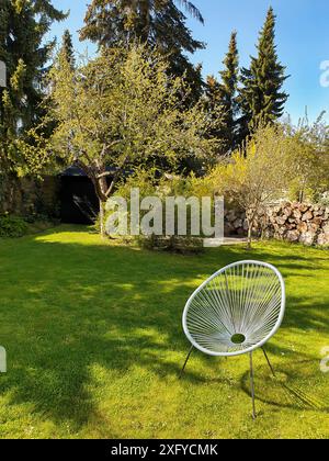 Au début du printemps dans le jardin, la saison commence par un endroit ensoleillé sur une pelouse verte, en Allemagne Banque D'Images