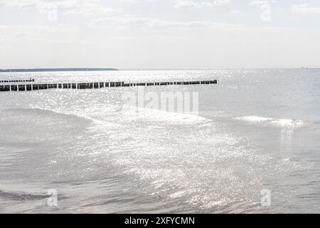 Vue sur les groynes en bois dans la mer Baltique au large de Markgrafenheide vers Warnemünde, Mecklembourg-Poméranie occidentale, Allemagne Banque D'Images