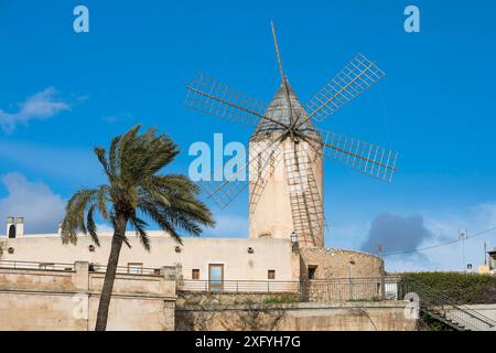 Moulin à vent historique d'es Jonquet, Palma, Majorque, Îles Baléares, Espagne, Europe Banque D'Images