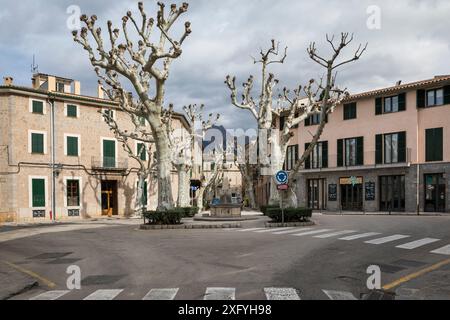 Arbres et bâtiments à Plaza de America, Soller, région de Serra de Tramuntana, Majorque, Îles Baléares, Espagne, Europe Banque D'Images