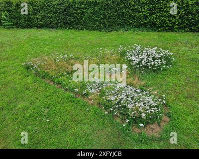 Un coeur de plantes vertes et de verdure dans un jardin en Rhénanie du Nord-Westphalie, Allemagne Banque D'Images