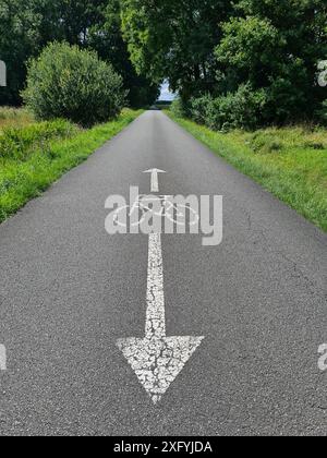 Un marquage sur la route montre une flèche blanche pointant dans les deux sens et un symbole de vélo, panneau de signalisation, règles de circulation, Rhénanie du Nord-Westphalie, Allemagne Banque D'Images