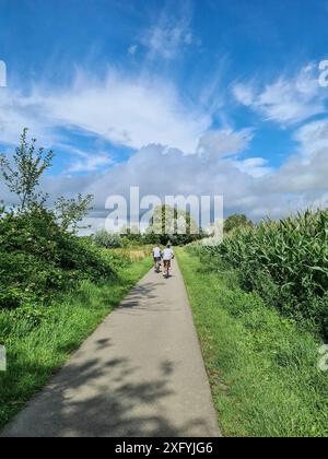 Deux jeunes cyclistes conduisant leurs vélos sur une piste cyclable à côté d'un champ de maïs dans une zone de loisirs locale, Rhénanie du Nord-Westphalie, Allemagne Banque D'Images