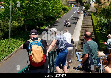 Promenade en luge de Monte à Funchal, Monte Palace, jardin tropical, quartier Monte, Funchal, île de Madère, Ilha de Madère, Océan Atlantique, Portugal Banque D'Images