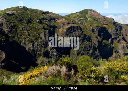 Vue depuis le sentier de randonnée Pico Arieiro vers Pico Ruivo, Madère, Ilha de Madère, Océan Atlantique, Portugal Banque D'Images