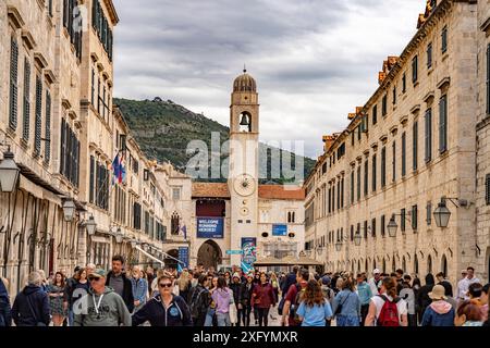 Promenade principale Stradun ou Placa et le clocher de point de repère à Dubrovnik, Croatie, Europe Banque D'Images