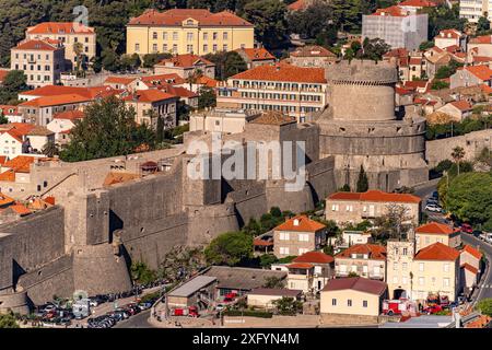 Mur de la ville et forteresse Minceta vu d'en haut, Dubrovnik, Croatie, Europe Banque D'Images