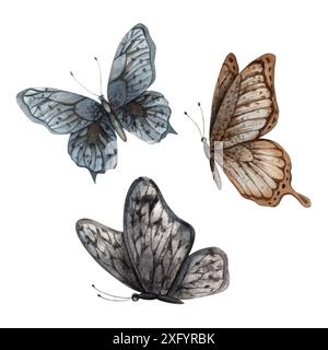 Un ensemble de papillons dans le style gothique, noir, bleu et marron. Le jeu d'aquarelles est peint manuellement. Pour le design et les bijoux, les cartes et les invitations Banque D'Images