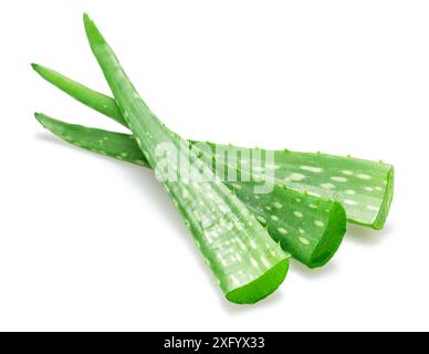 Coupes fraîches de feuilles d'aloe Vera isolées sur fond blanc. Banque D'Images